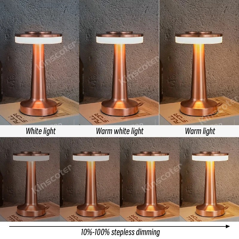 Portable LED table lamp with touch sensor 3 levels of brightness